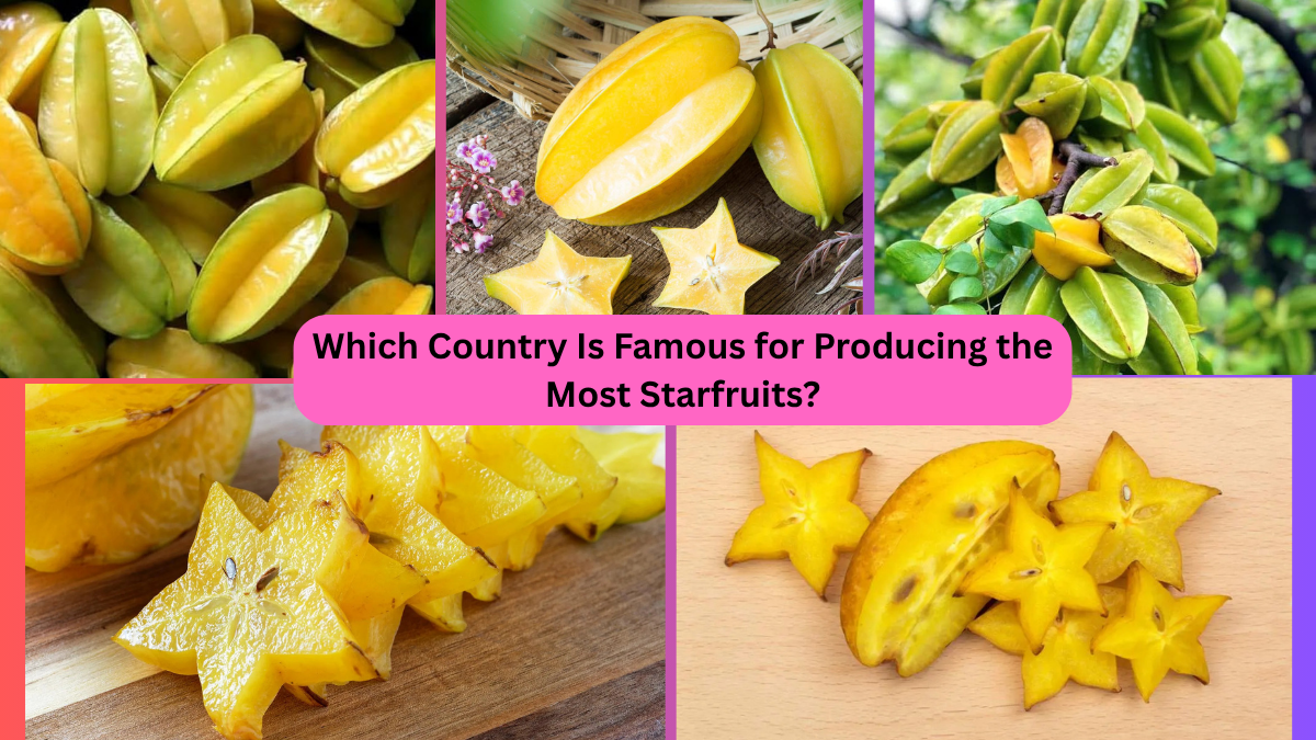 Which Country Is Famous for Producing the Most Starfruits?