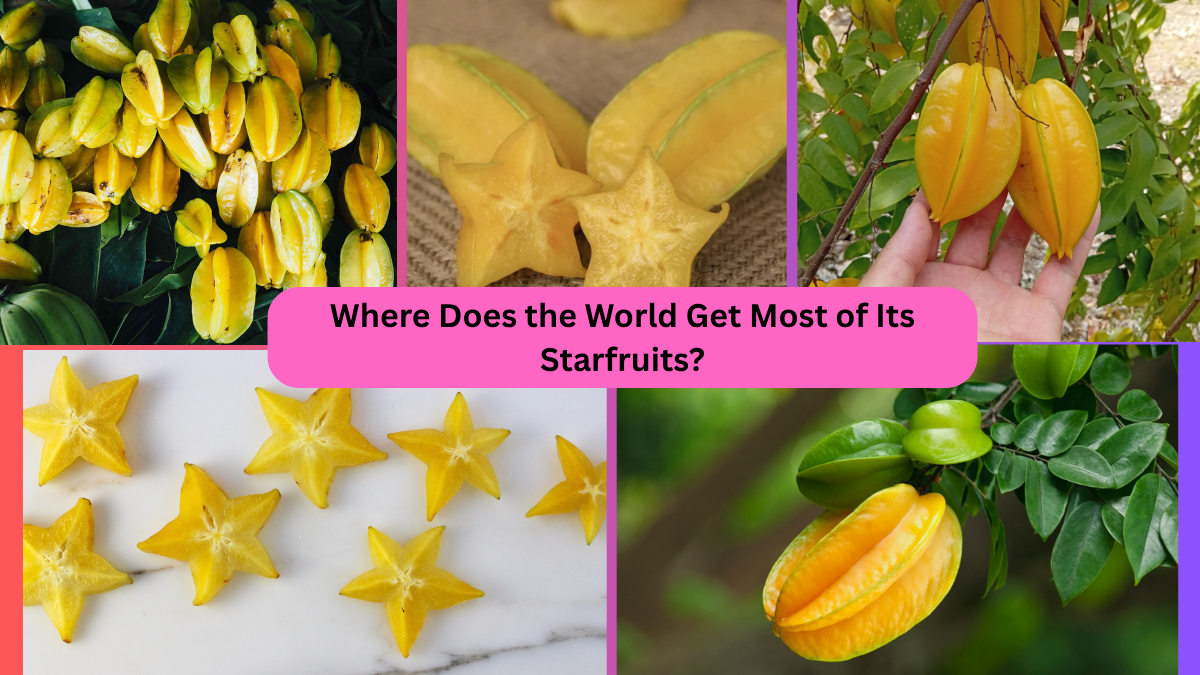 Where Does the World Get Most of Its Starfruits?