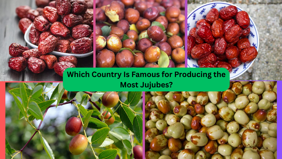 Which Country Is Famous for Producing the Most Jujubes?