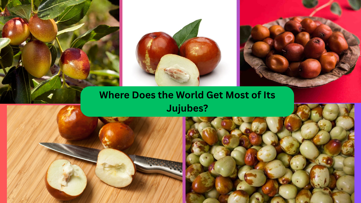 Where Does the World Get Most of Its Jujubes?