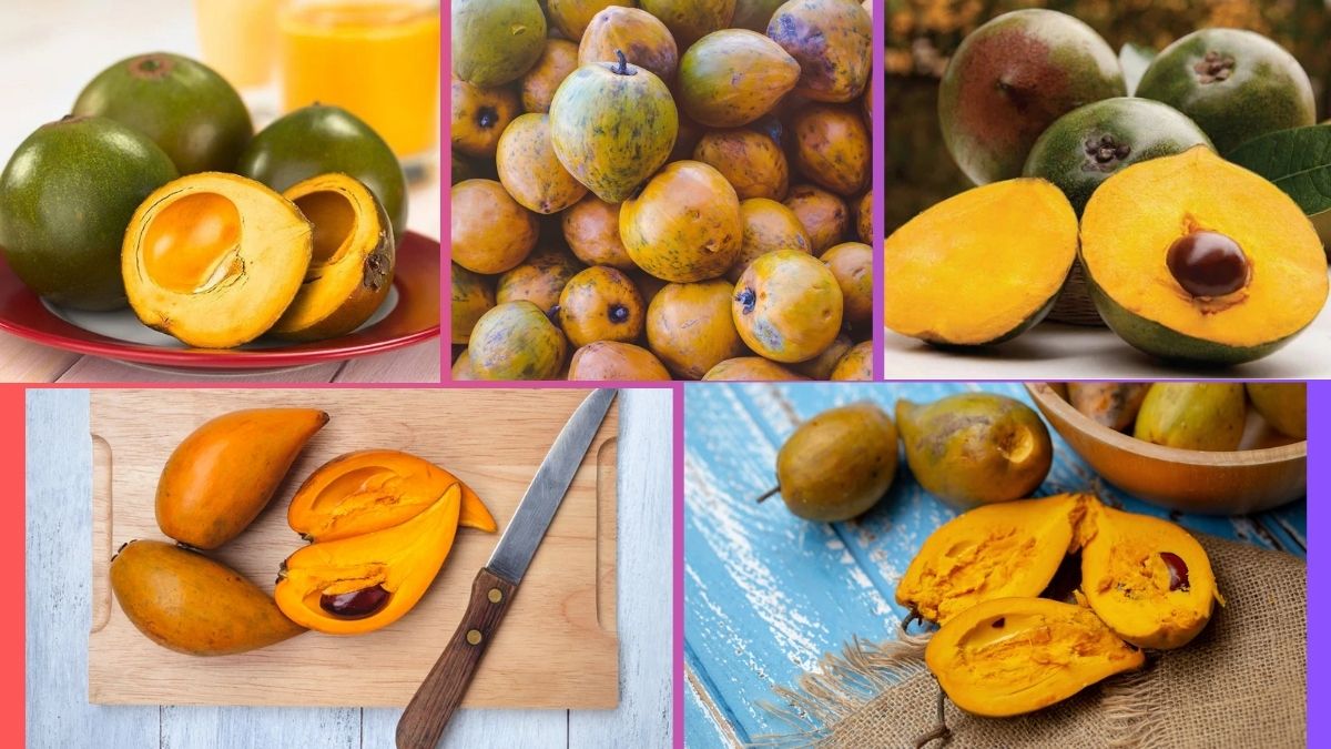 Which Country Is the Largest Lucuma Producer Globally?