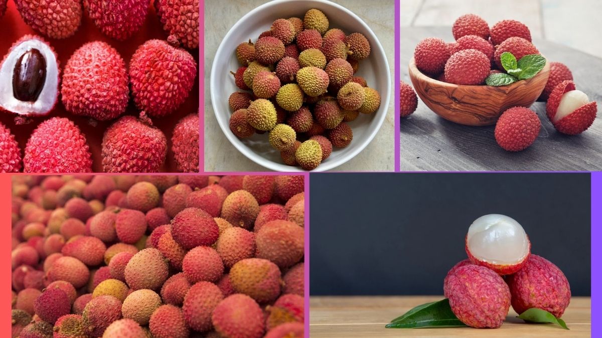 Which Country Is the Largest Lychee Producer Globally?