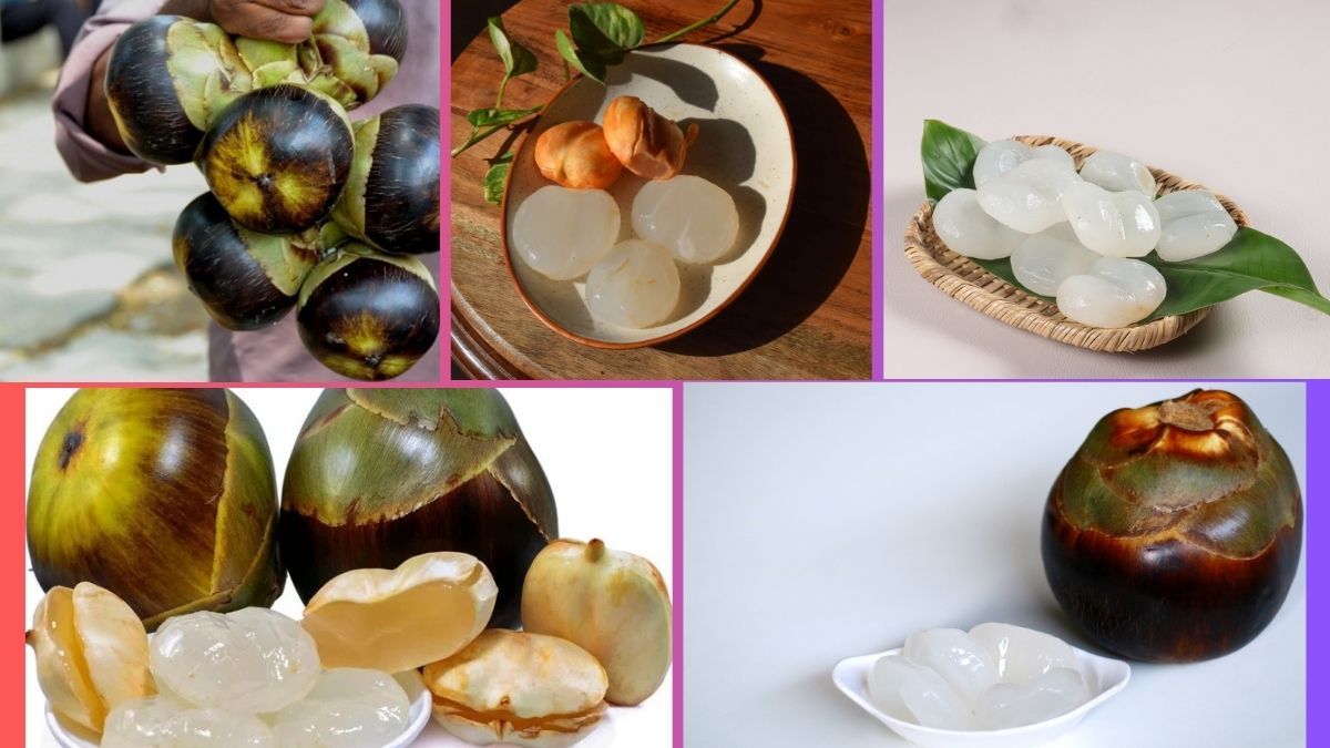 Which Country Is the Largest Ice Apple Producer Globally?