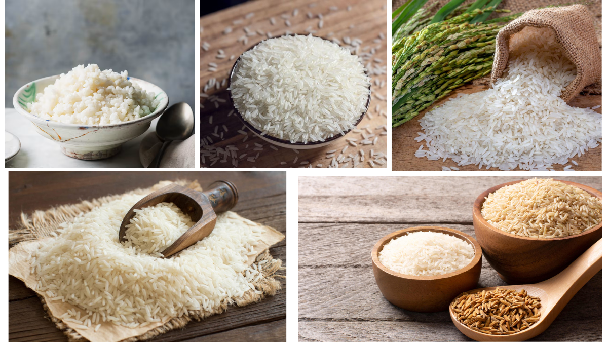 Which Country Is the Largest Rice Producer in the World?
