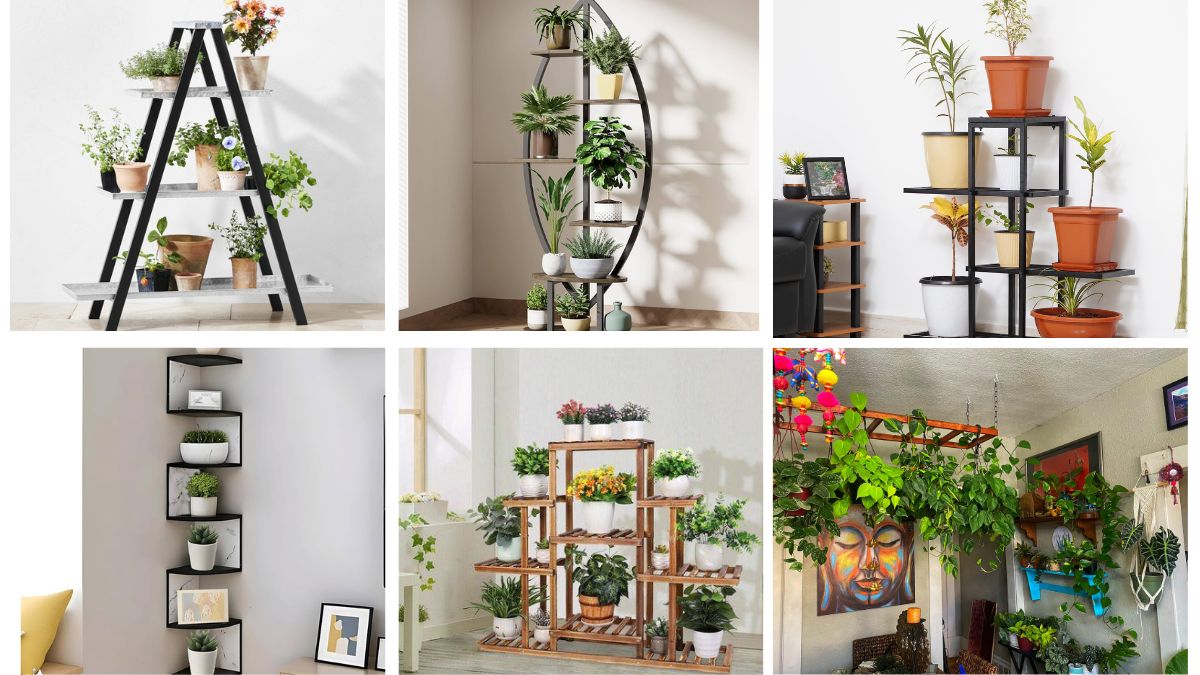 10 Trendy Plant Stands to Boost Your Greenery Game