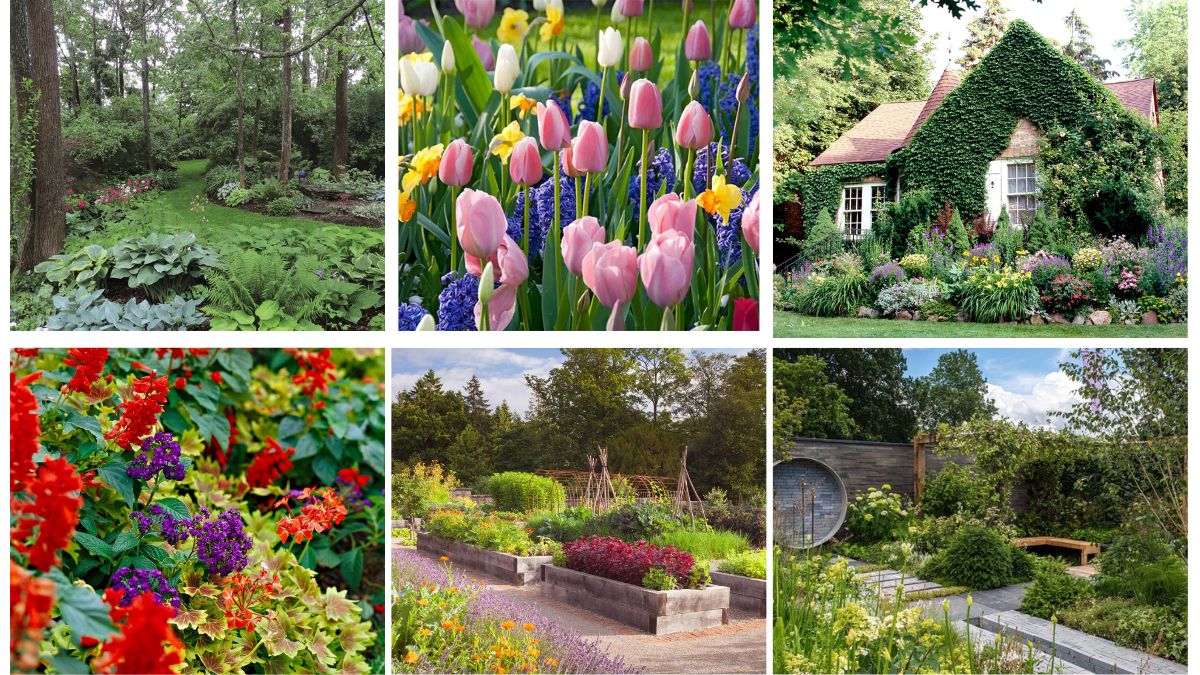 7 Gorgeous Spring Flower Bed Ideas to Revive Your Garden
