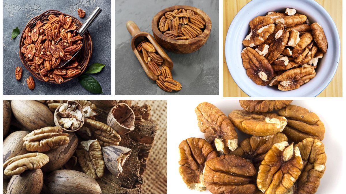 Which Country Is the Largest Pecan Exporter in the World?