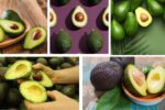 Which Country Is the Largest Avocado Supplier in the World?