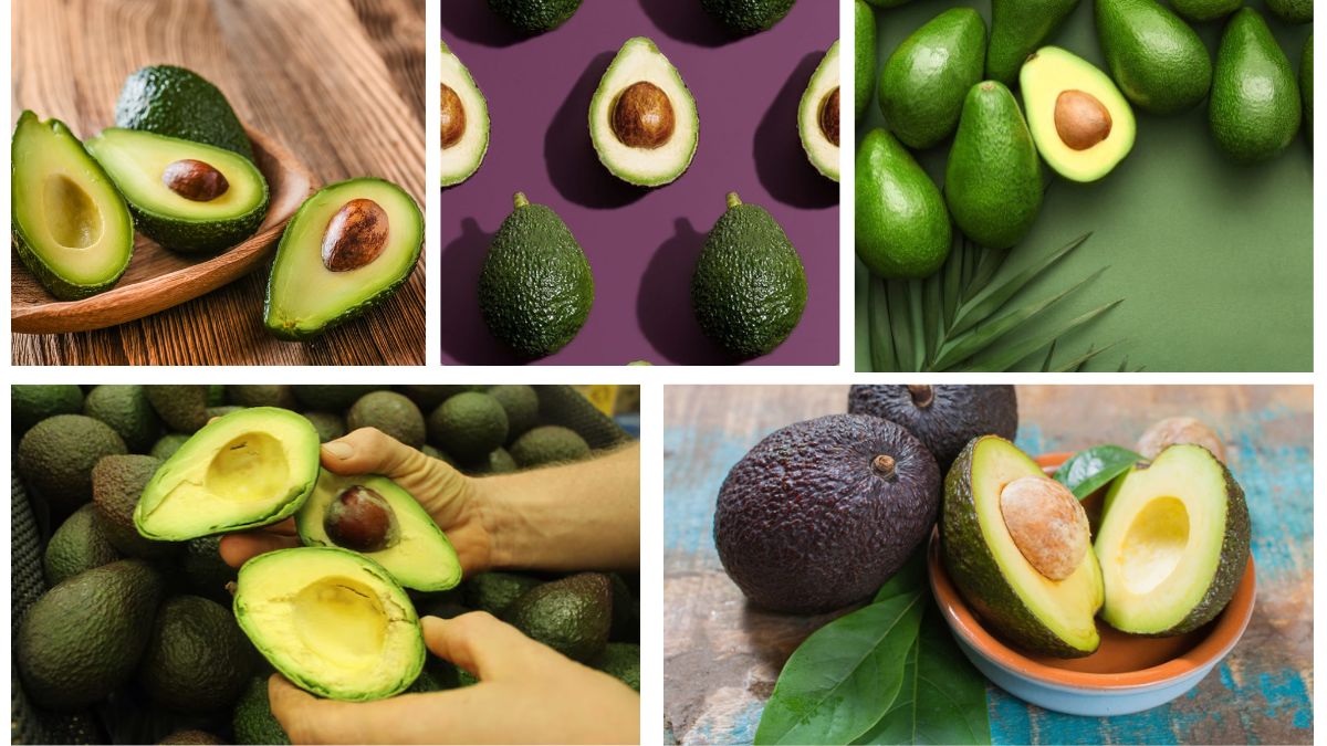 Which Country Is the Largest Avocado Supplier in the World?