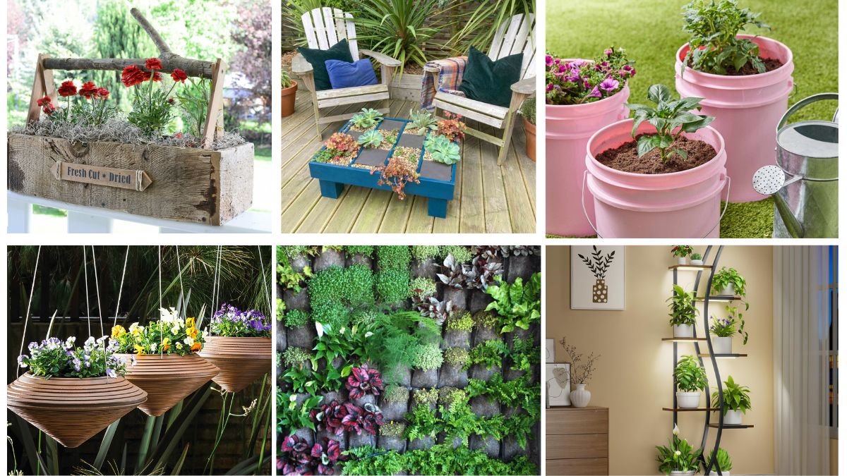 7 Backyard Planter Ideas to Upgrade Your Garden Style