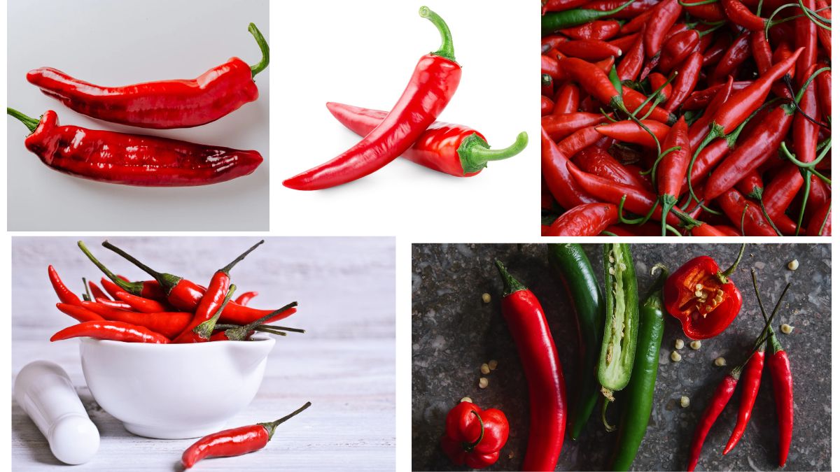 Which Country Is the Largest Chili Producer in the World?