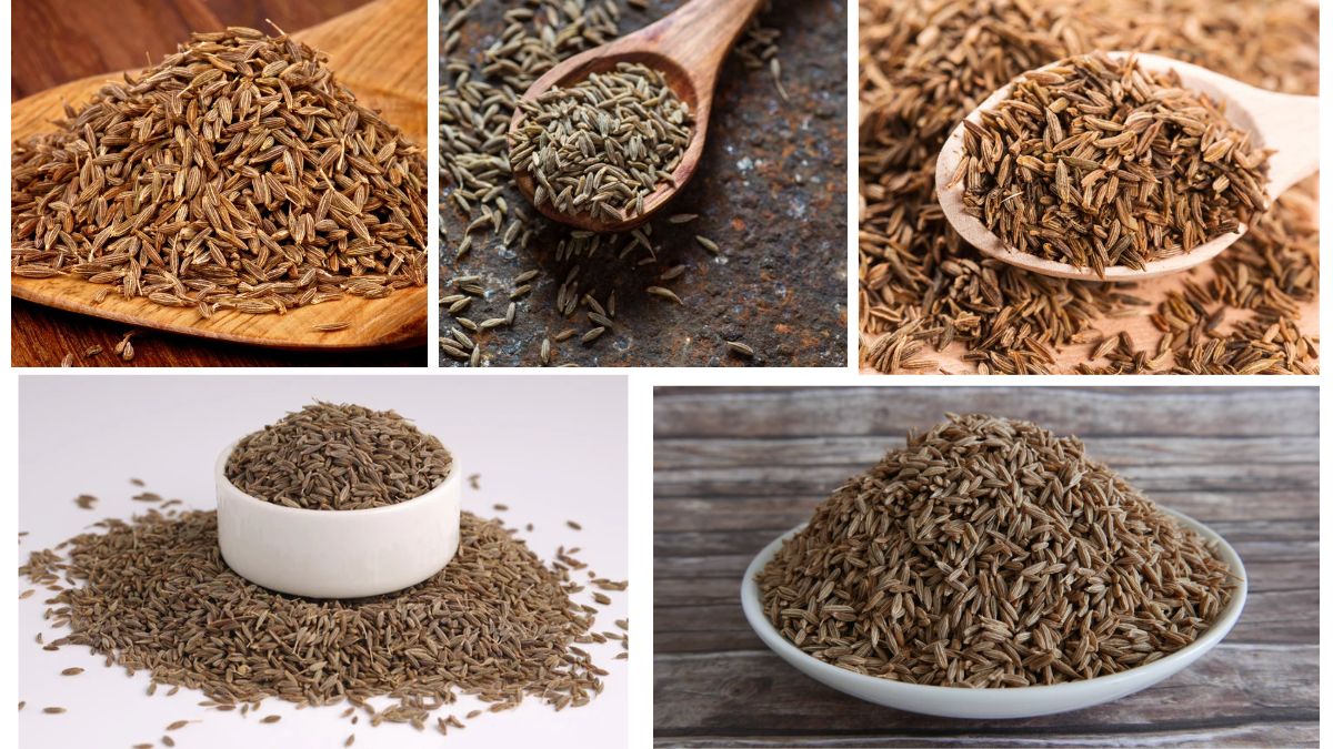 Which Country Is the Largest Cumin Producer in the World?