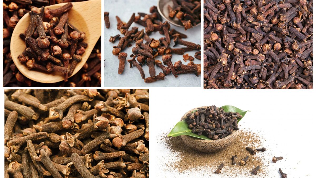 Which Country Is the Largest Clove Producer in the World?
