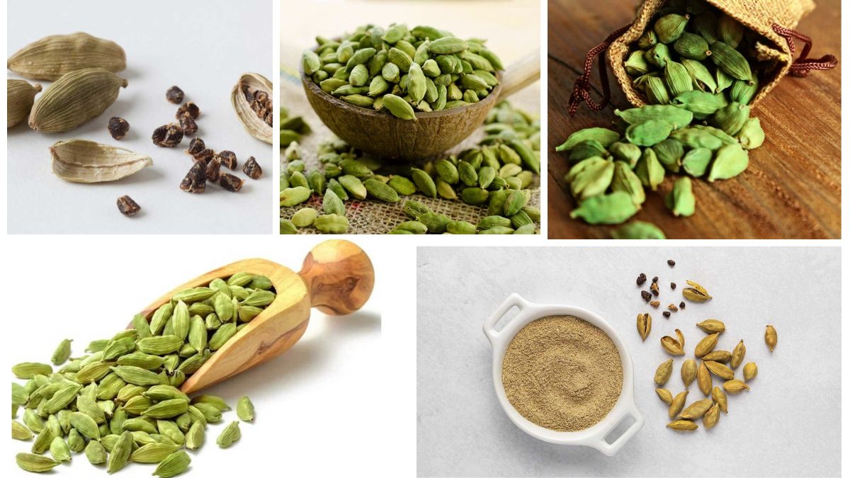 Which Country Is the Largest Cardamom Producer in the World?