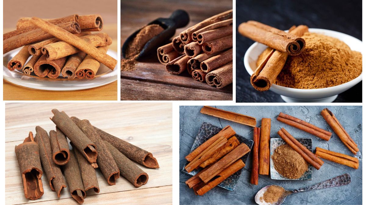 Which Country Is the Largest Cinnamon Producer in the World?