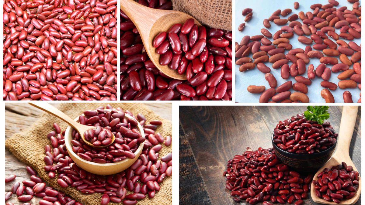 Which Country Is the Largest Kidney Bean Producer in the World?
