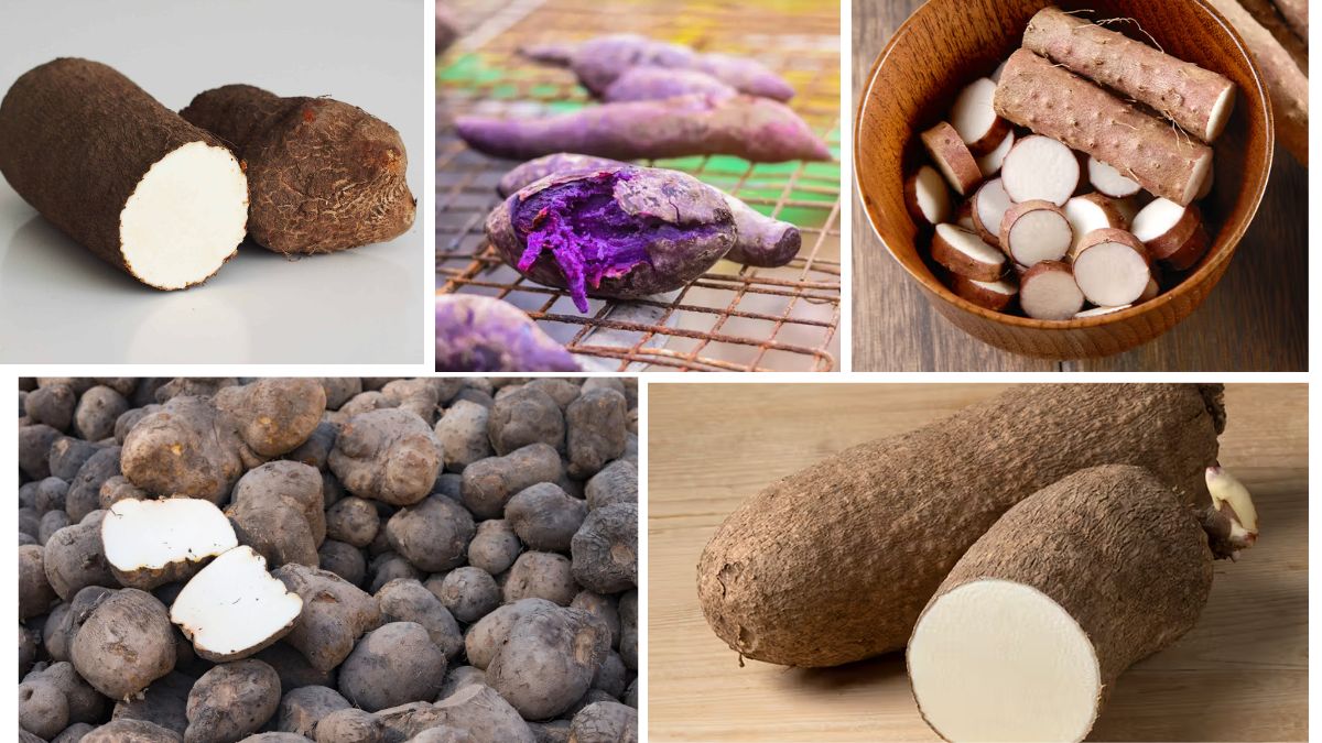 Which Country Is the Largest Yam Producer in the World?