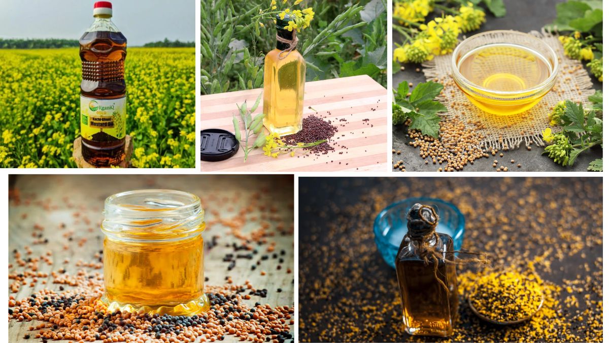 Which Country Is the Largest Mustard Oil Producer in the World?