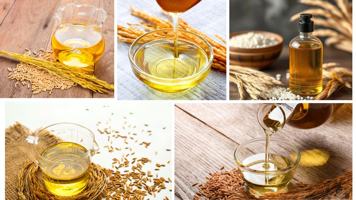 Which Country Is the Largest Rice Bran Oil Producer in the World?