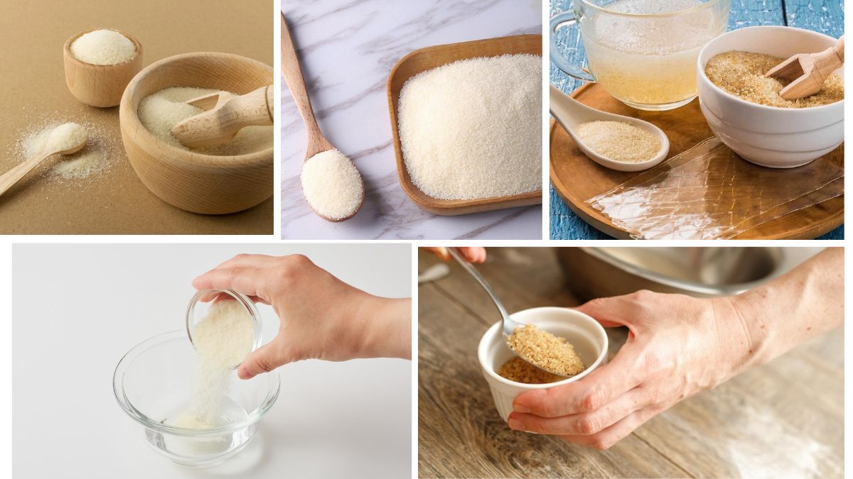 Which Country Is the Largest Gelatin Powder Producer in the World?