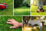 Grass Care Tips Every Homeowner Should Know