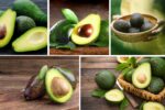Top Avocado Exporting Countries in the World