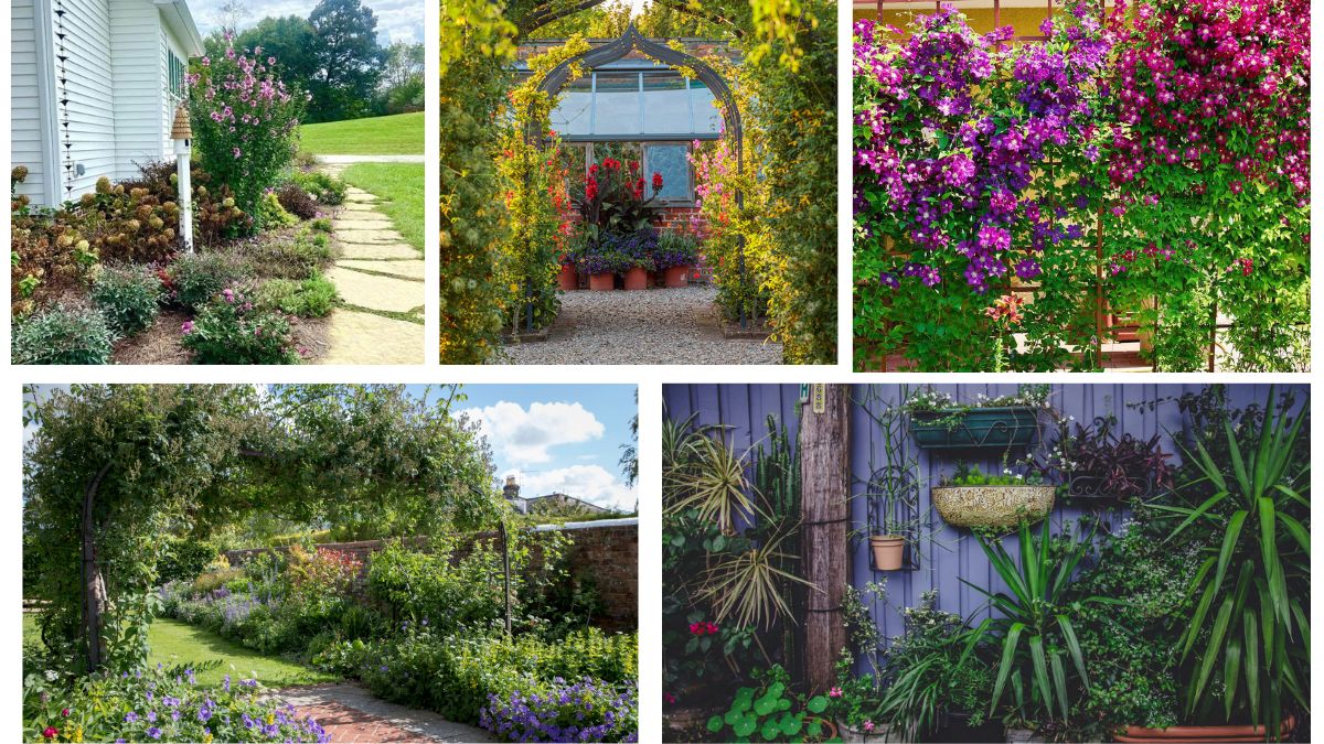 How Can You Add Vertical Interest to a Garden?