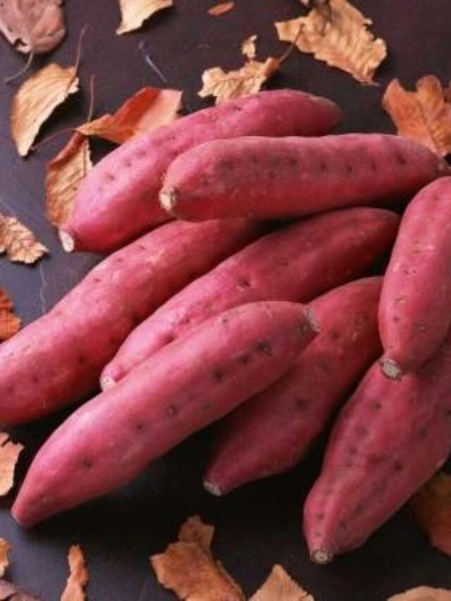 Making-Starch-From-A-Sweet-Potato (1)