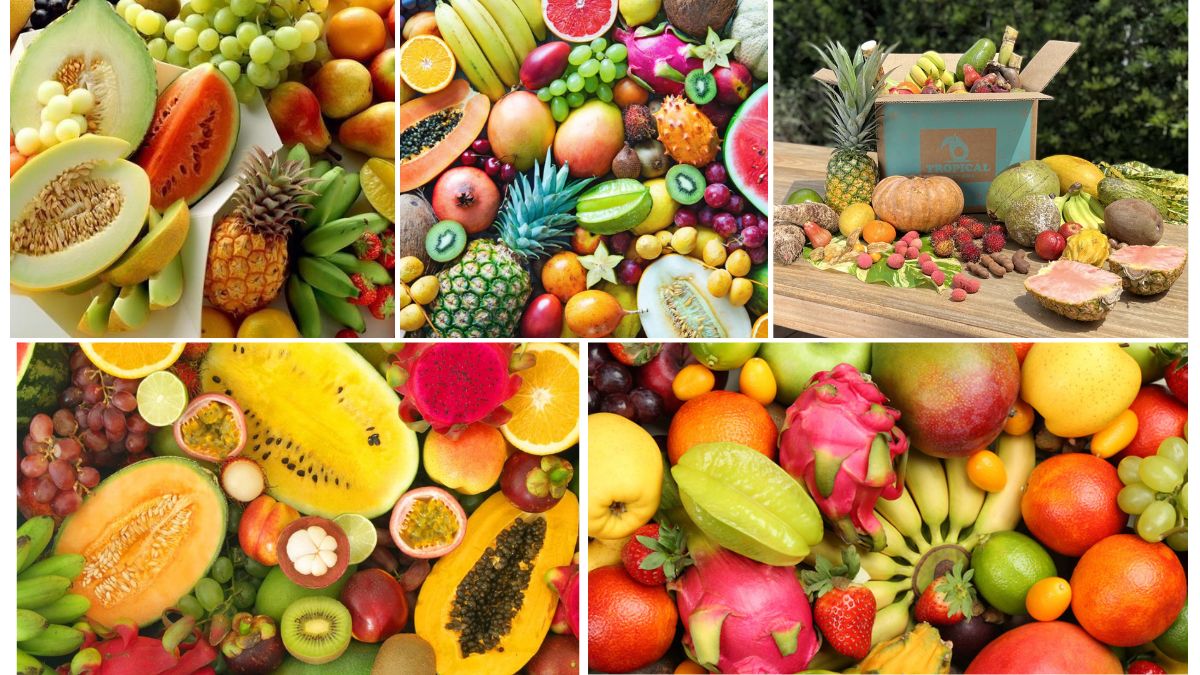 Global Trends in Tropical Fruit Exports