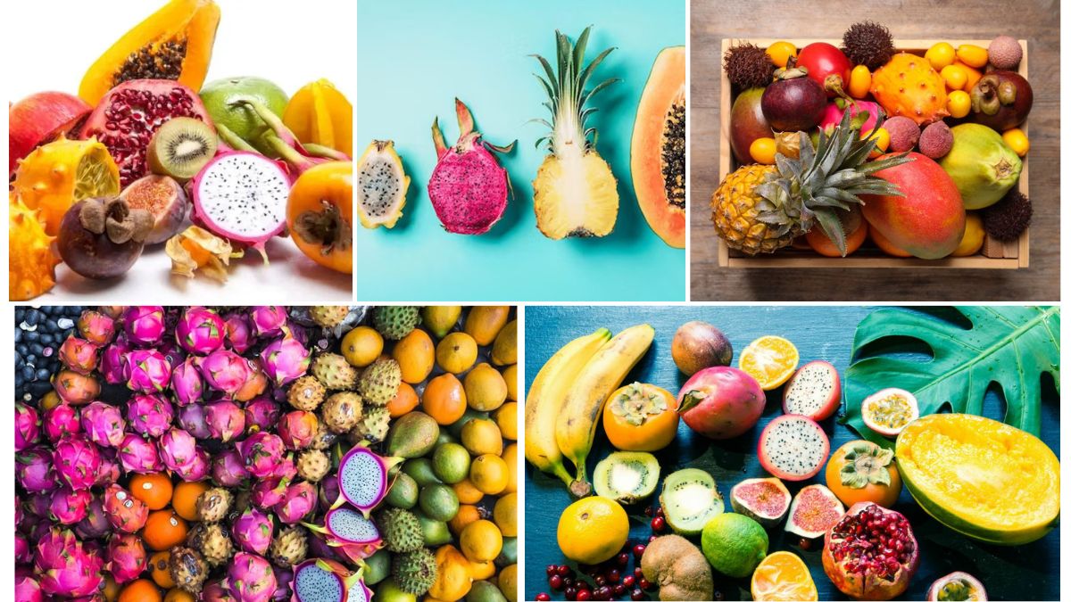 The Rise of Exotic Fruit Consumption in Urban Homes