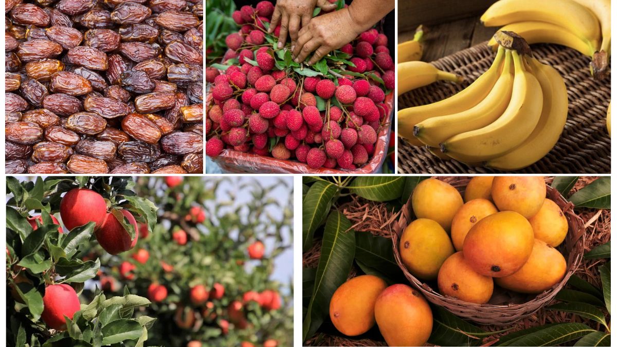 History of Fruit Cultivation in Tropical Nations