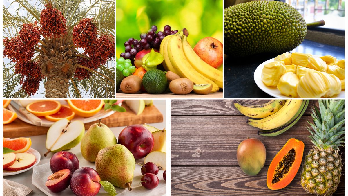 How to Read and Analyze Fruit Export Data