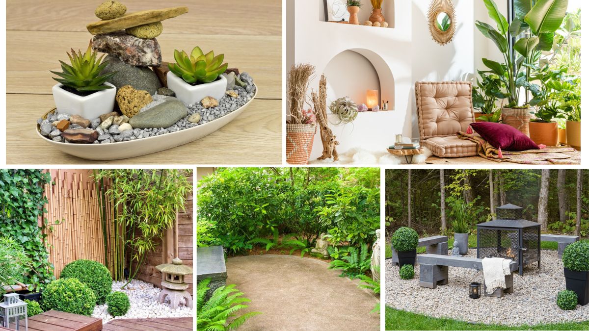 How to Create a Zen Plant Corner