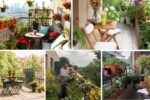 How to Plan a Winter Balcony Garden