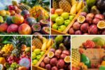 Digital Tools for Tracking Fruit Exports