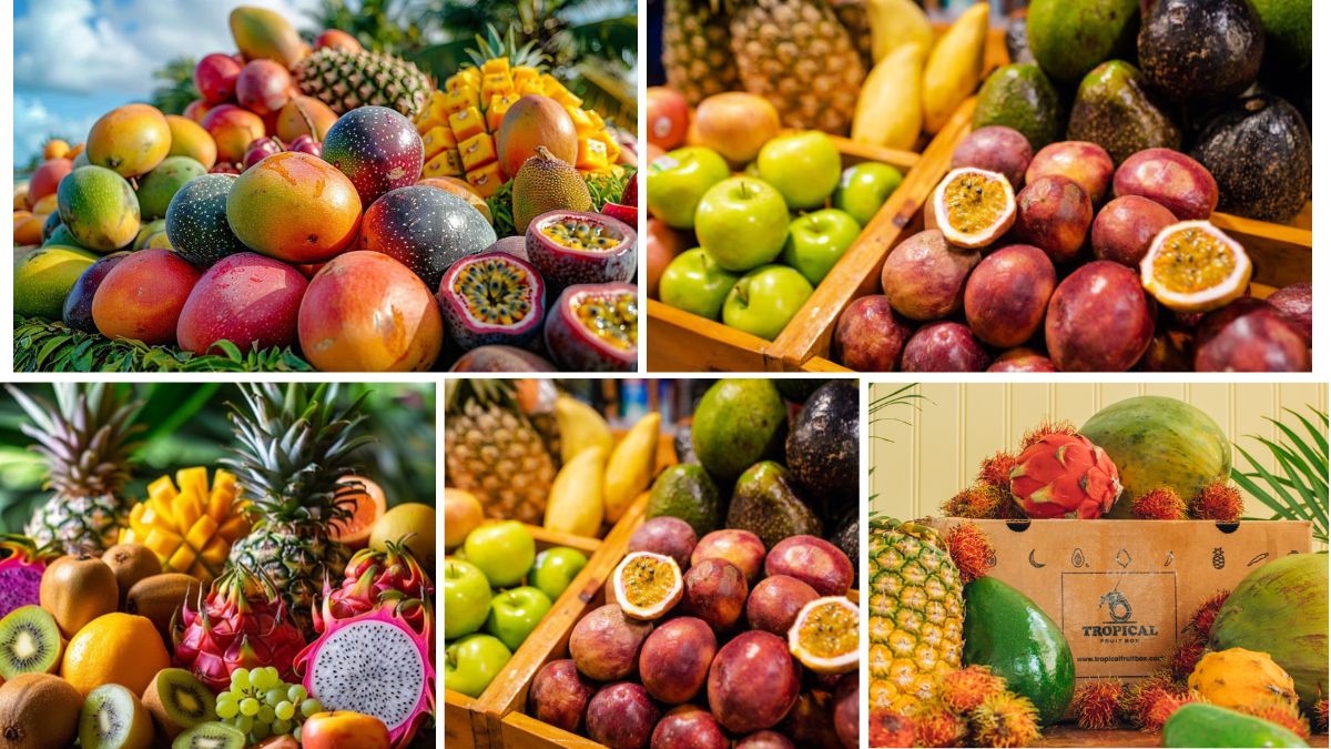 Digital Tools for Tracking Fruit Exports