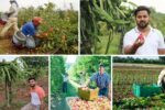 Fruit Farming as a Career: Is It Viable?