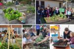How to Create a School Garden Curriculum