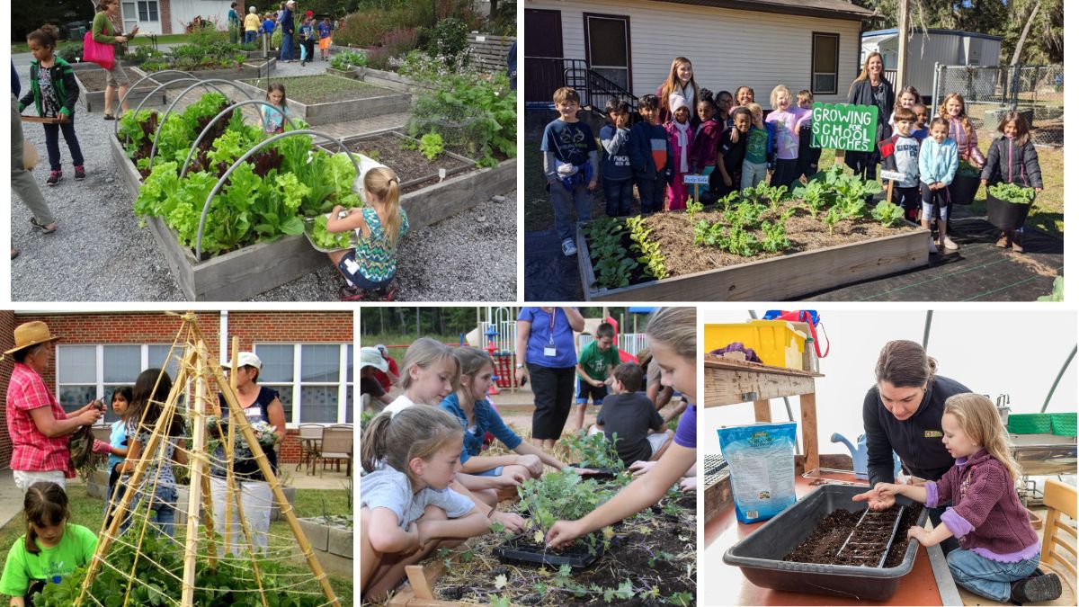 How to Create a School Garden Curriculum
