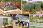 How to Create a Mini Greenhouse on a Budget