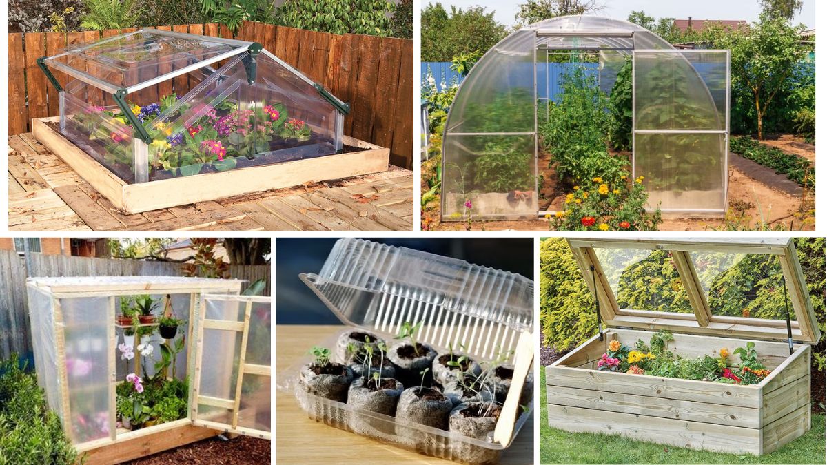 How to Create a Mini Greenhouse on a Budget