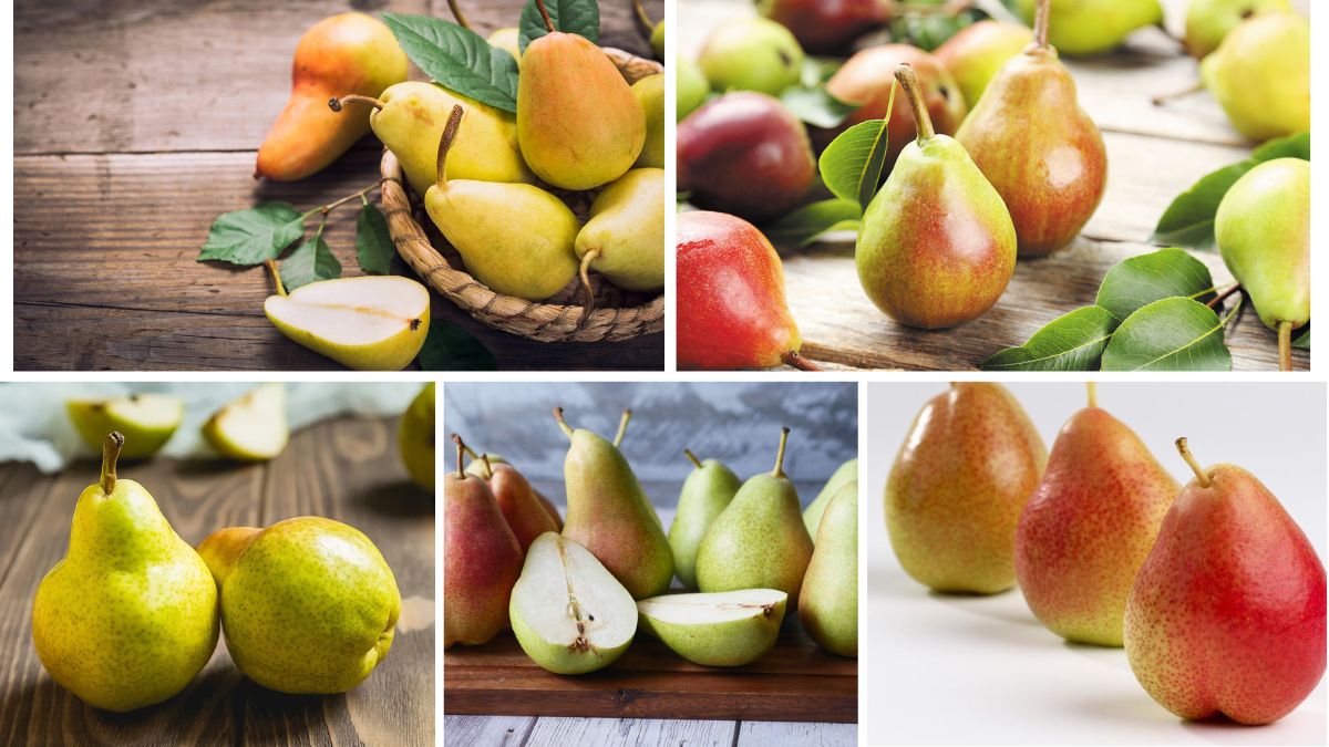 Which Country Produces the Most Pears Annually?