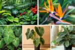 Tips to Grow Rare and Exotic Plants Successfully