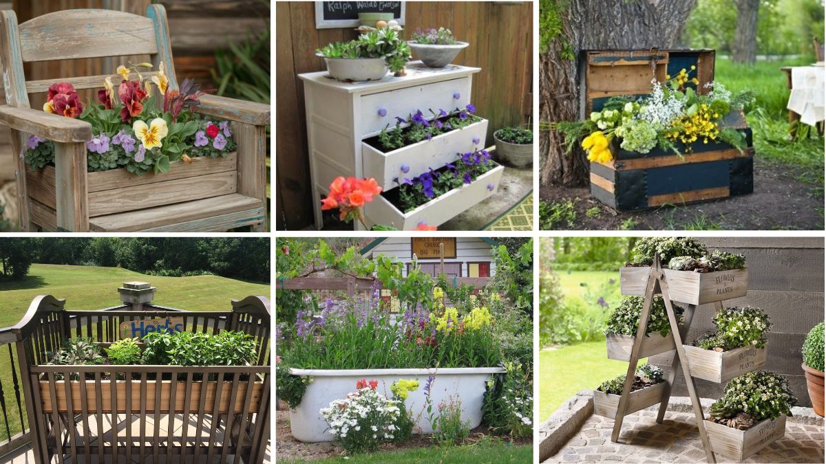 6 Creative Repurposed Furniture Flower Beds to Add Charm to Your Garden