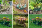 6 Unique Wheelbarrow Flower Beds to Beautify Your Outdoor Space