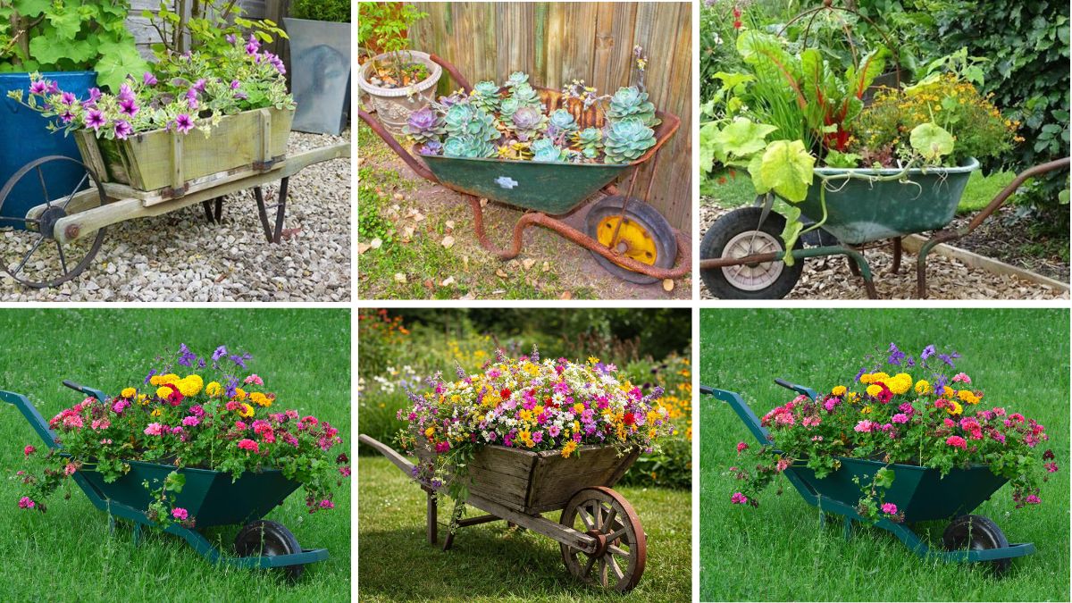 6 Unique Wheelbarrow Flower Beds to Beautify Your Outdoor Space