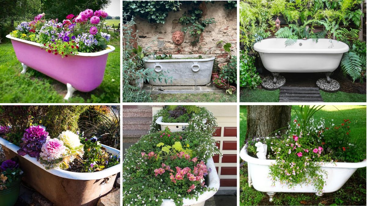6 Unique Bathtub Flower Bed Ideas to Upgrade Your Garden Design