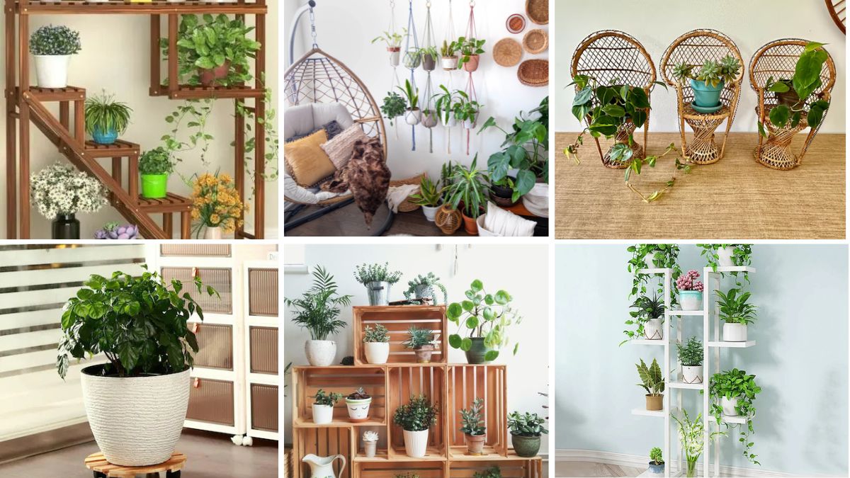 6 Creative Plant Stand Ideas for Indoors and Outdoors