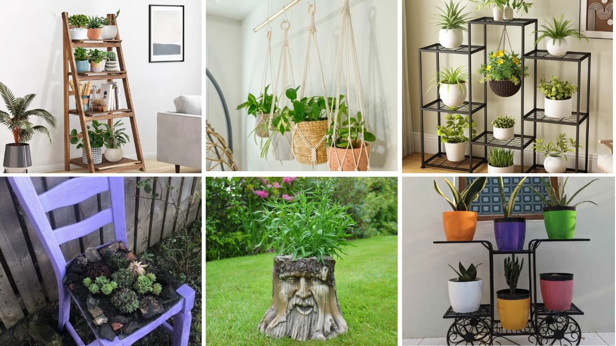 6 Creative Plant Stand Ideas for Indoors and Outdoors