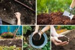 How to Prepare Soil for Planting in Autumn